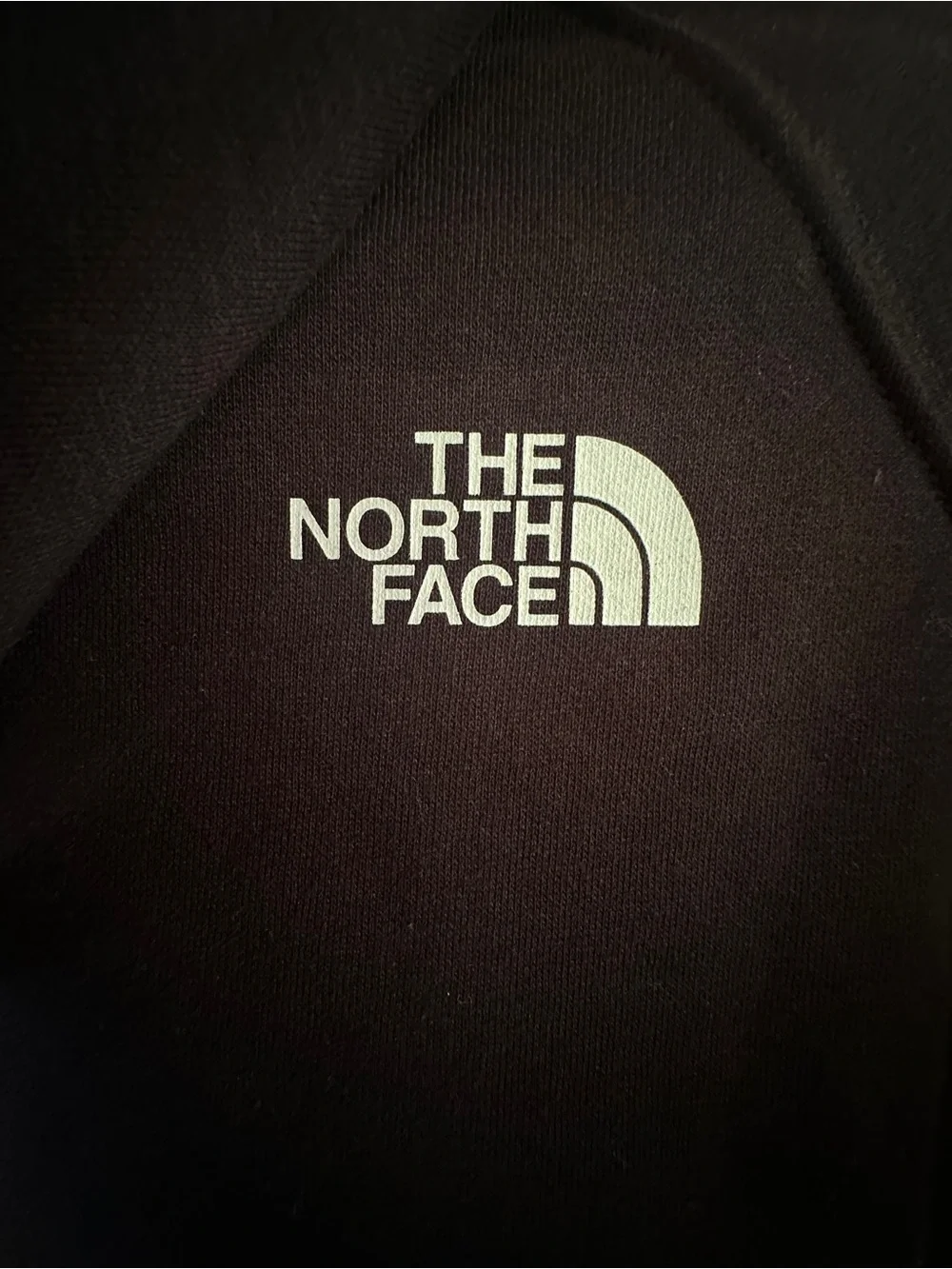 The North Face New Views Same Planet Hoodie Women’s Small Black NWT